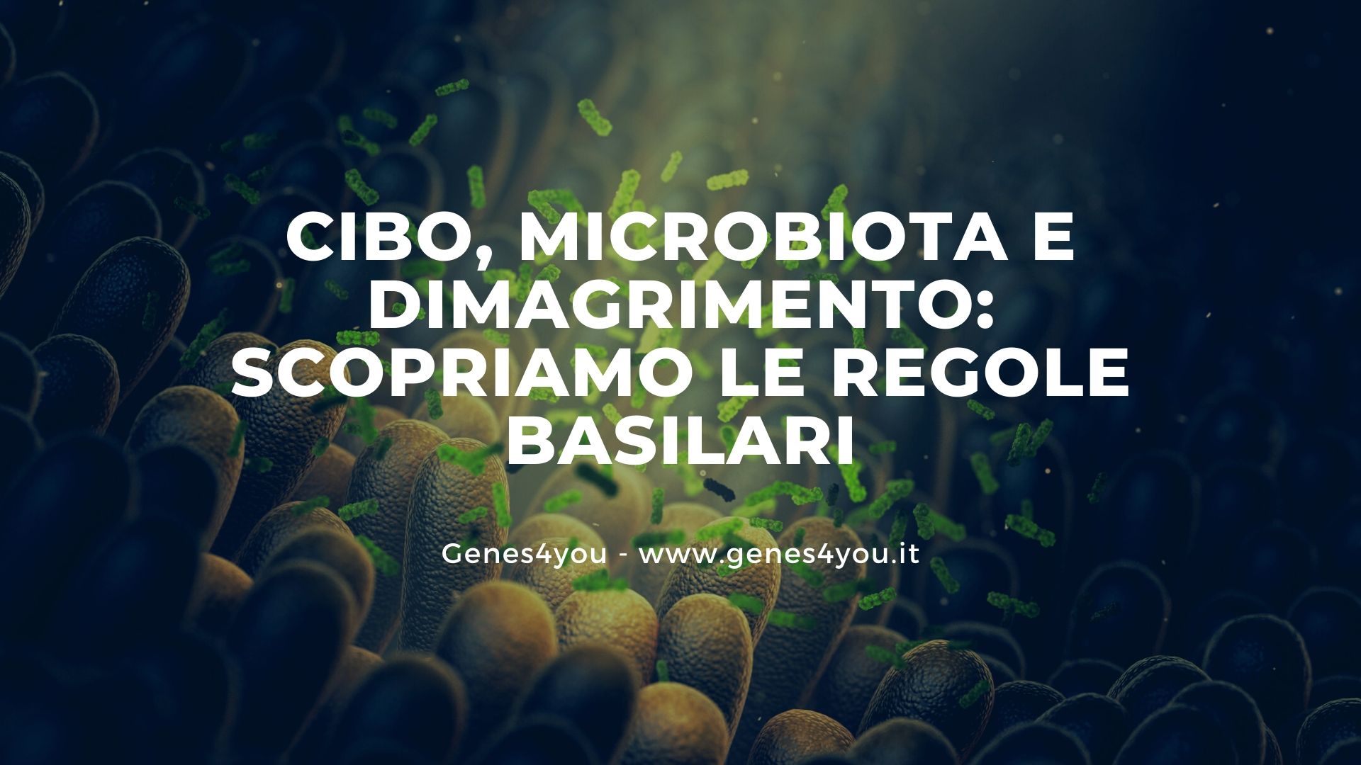 Cibo, microbiota e dimagrimento_ scopriamo le regole basilari - Genes4you(1)