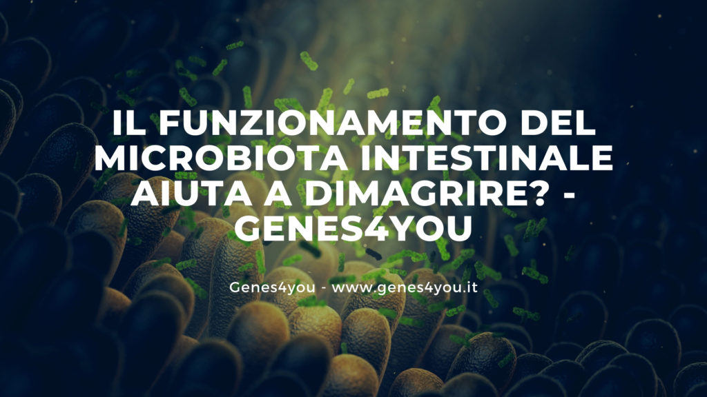 Il funzionamento del microbiota intestinale aiuta a dimagrire - Genes4you