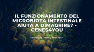 Il funzionamento del microbiota intestinale aiuta a dimagrire - Genes4you