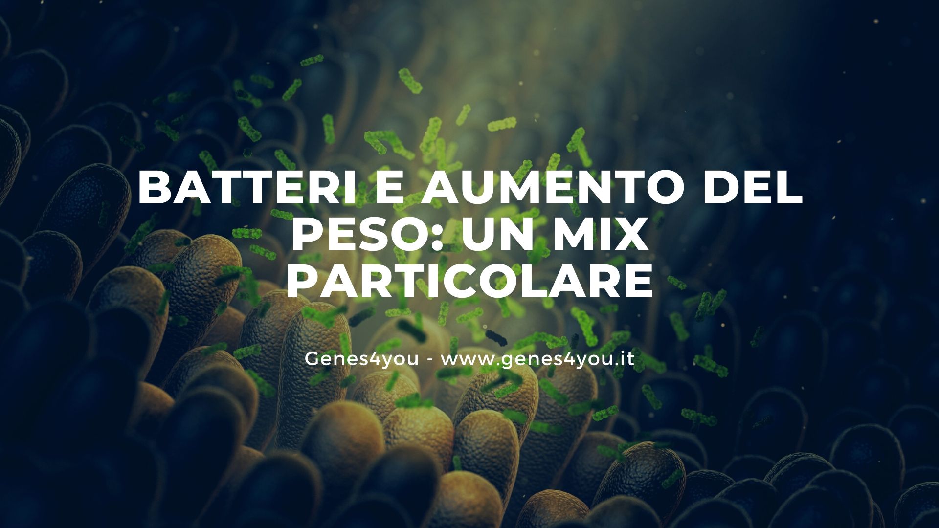 Il funzionamento del microbiota intestinale aiuta a dimagrire - Genes4you