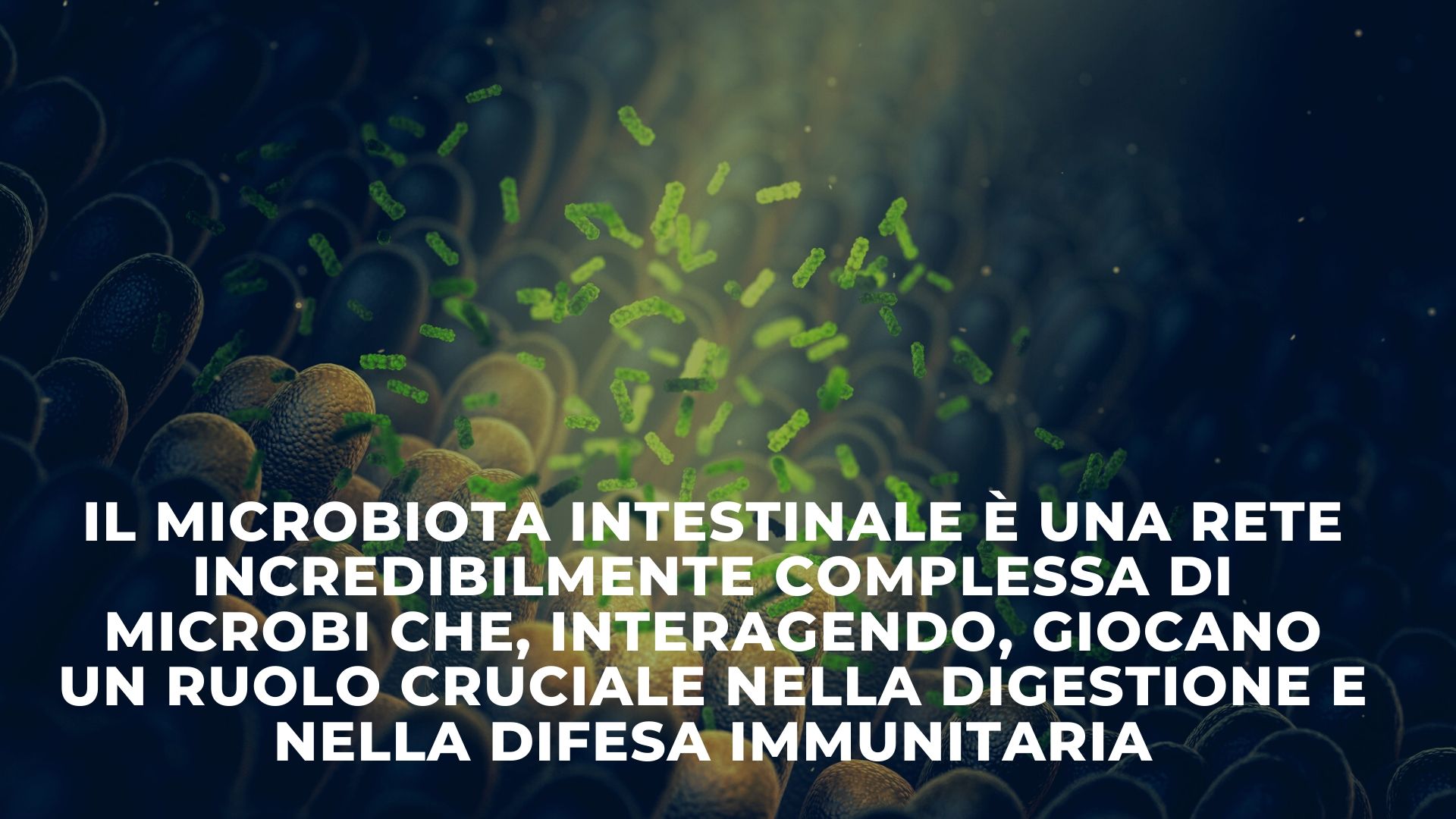 Analisi e test scientifici, test microbiota, test covid - Genes4you - Genes4you(1)