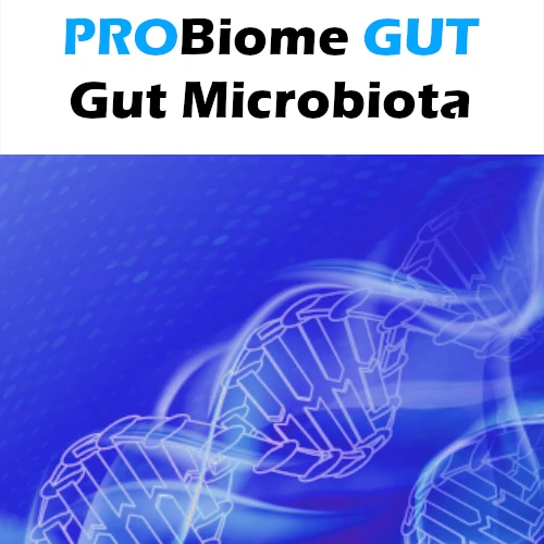 probiome-gut-analisi-test-microbiota-intestinale-en