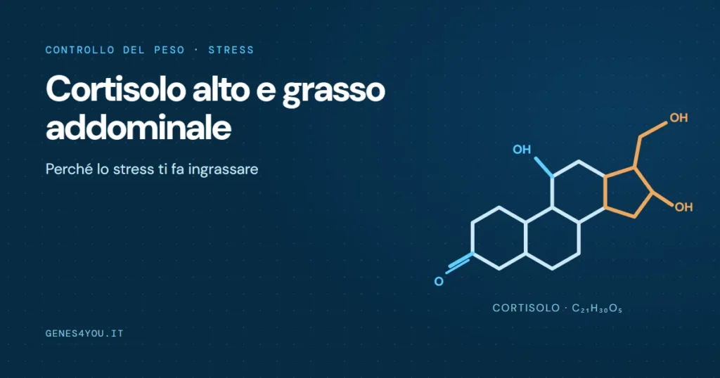 Cortisolo alto e grasso addominale: struttura stilizzata della molecola del cortisolo