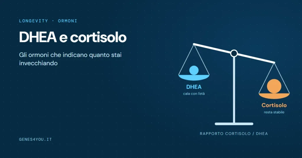 DHEA e cortisolo: bilancia sbilanciata verso il cortisolo, simbolo del rapporto cortisolo/DHEA nell'invecchiamento