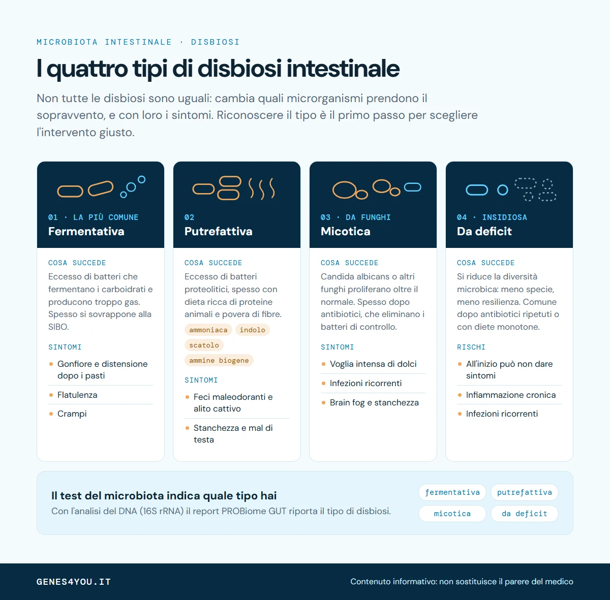 Infografica sui quattro tipi di disbiosi intestinale: fermentativa, putrefattiva, micotica e da deficit, con cause e sintomi