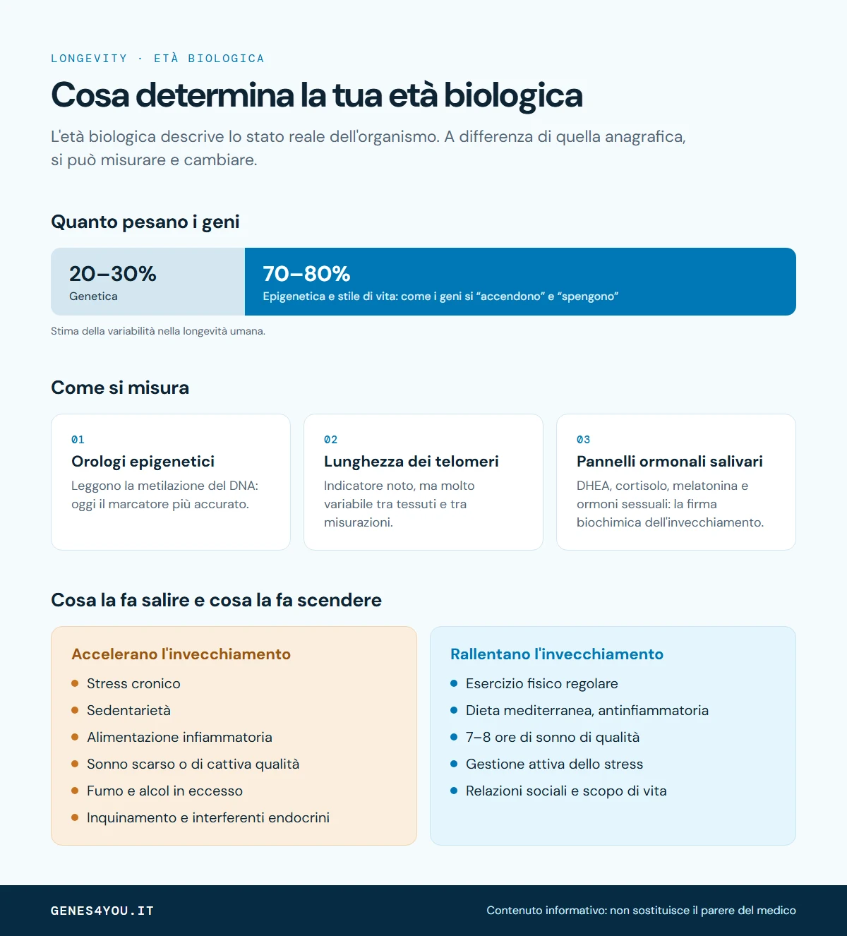 Infografica sull'età biologica: peso di genetica ed epigenetica, metodi di misura e fattori che accelerano o rallentano l'invecchiamento
