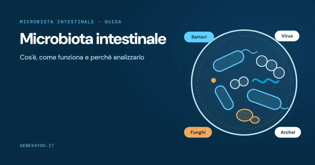 Microbiota intestinale: illustrazione di batteri, virus, funghi e archei che popolano l'intestino