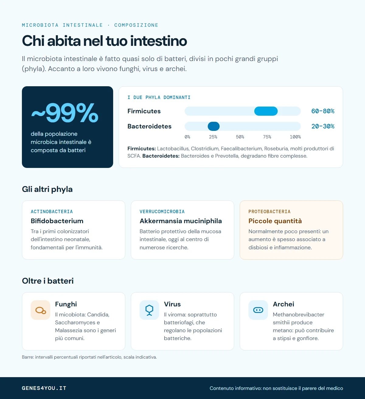 Infografica sulla composizione del microbiota intestinale: circa 99% batteri, Firmicutes 60-80%, Bacteroidetes 20-30%, altri phyla e funghi, virus e archei