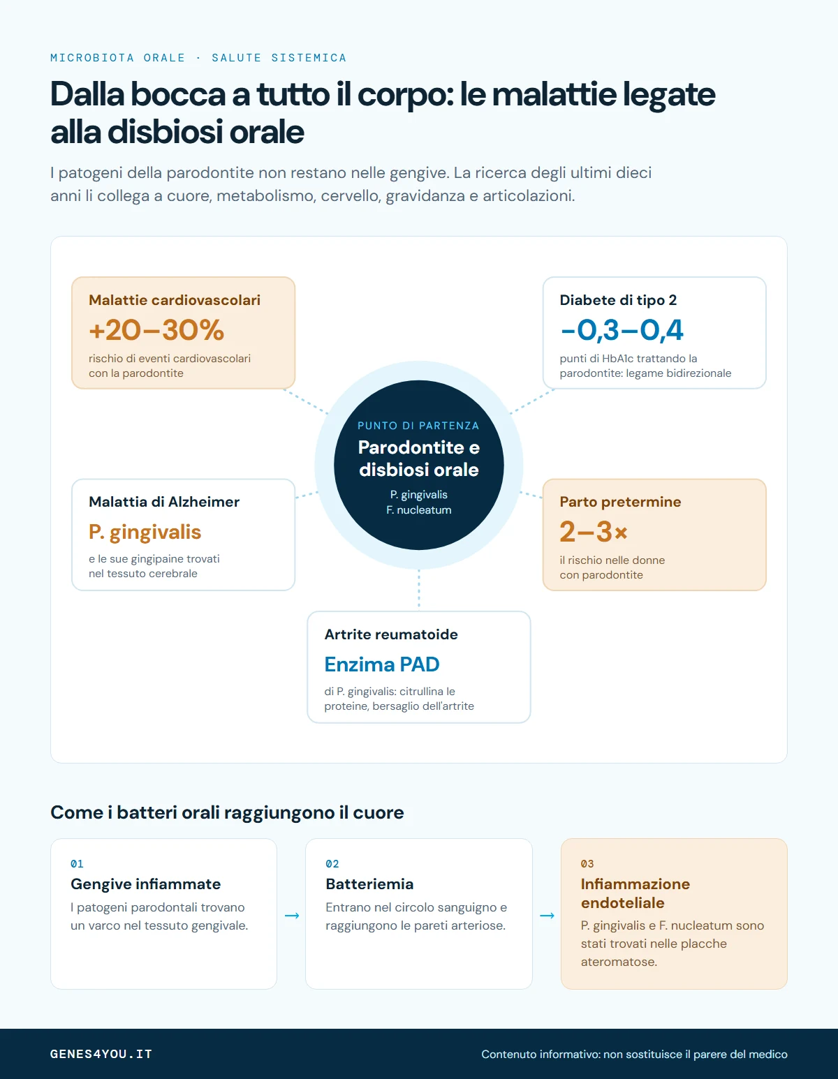 Infografica sul legame tra parodontite, disbiosi orale e malattie sistemiche: cuore, diabete di tipo 2, Alzheimer, parto pretermine e artrite reumatoide