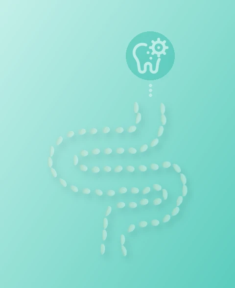 PROBiome SALUTE DIGESTIVA: dalla bocca all intestino