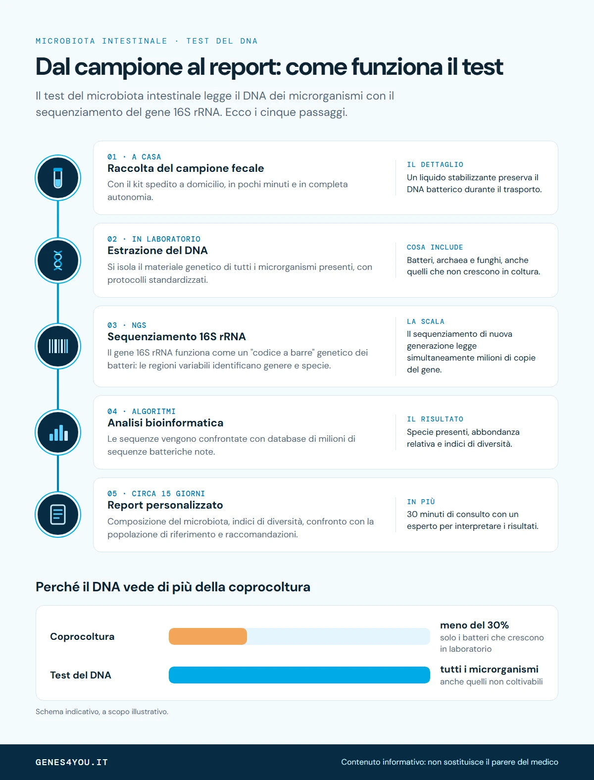 Infografica sui cinque passaggi del test del microbiota intestinale basato sul DNA, dalla raccolta del campione al report, e confronto con la coprocoltura